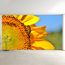 Imported image c8e9c70beb6e 3390436.jpg