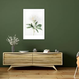 Imported image 19a3cf8d8459 1763376.jpg