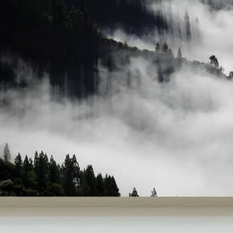Imported image df33f201e092 1897200.jpg