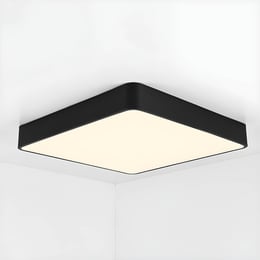 Imported image c3fea0b1764b 2186816.jpg