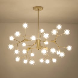Imported image b6098387ffdd 2205790.jpg