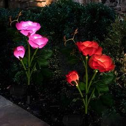 Imported image f5217d80cc6a 2274867.jpg