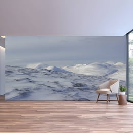 Imported image e2556deb6ef6 3354482.jpg