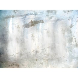 Imported image c77fd725d953 3354934.jpg