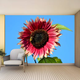 Imported image 779dcd62ef3e 3390423.jpg