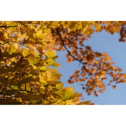 Imported image a8e7f9799cc3 3558084.jpg