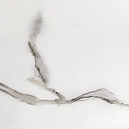Imported image 825271f0da6d 5739682.jpg