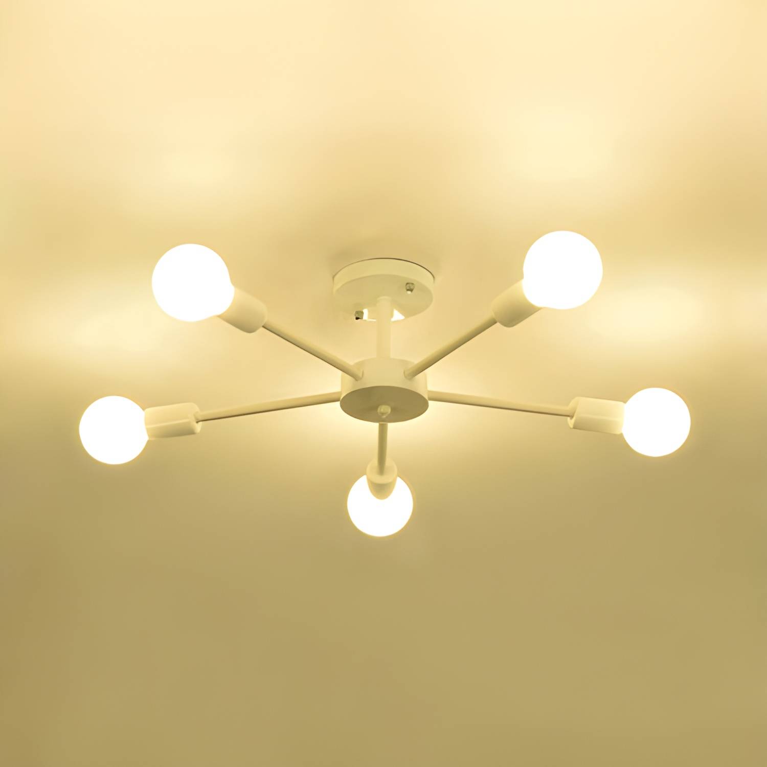 Imported image d22db14f01e3 106146.jpg