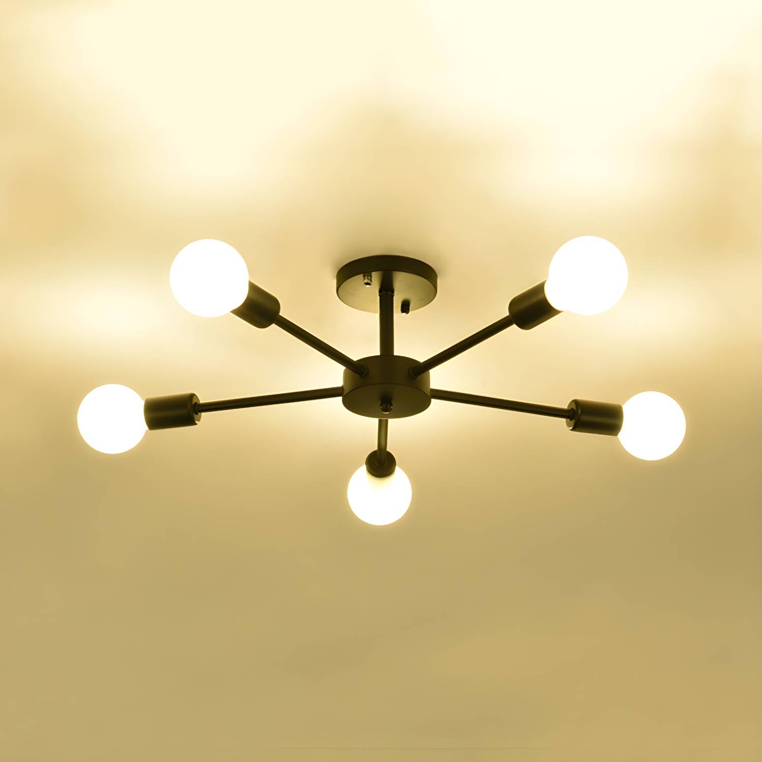 Imported image 46f742e5b5a7 106149.jpg
