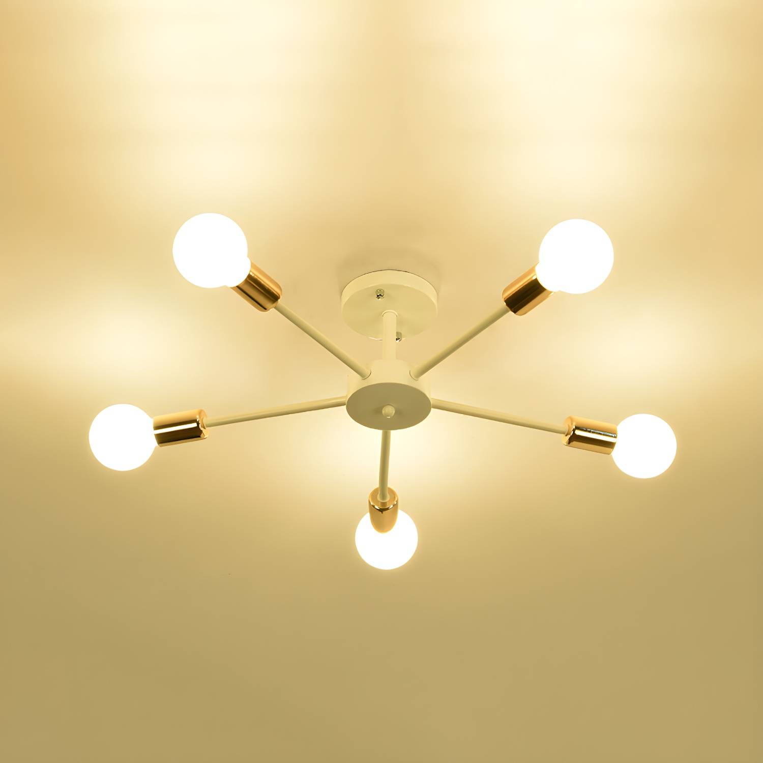 Imported image 4e89177535f1 106159.jpg