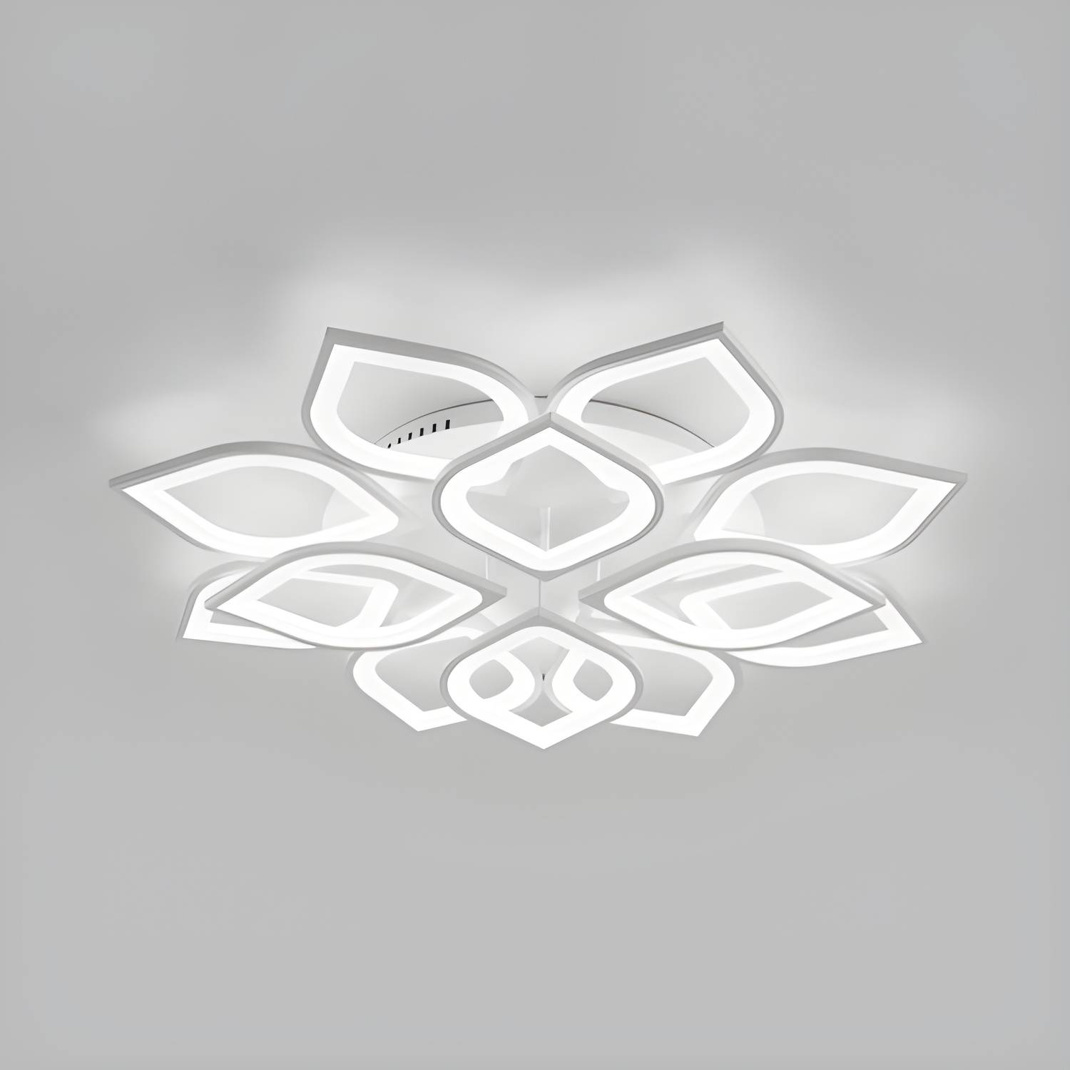 Imported image 339e992fd320 106420.jpg