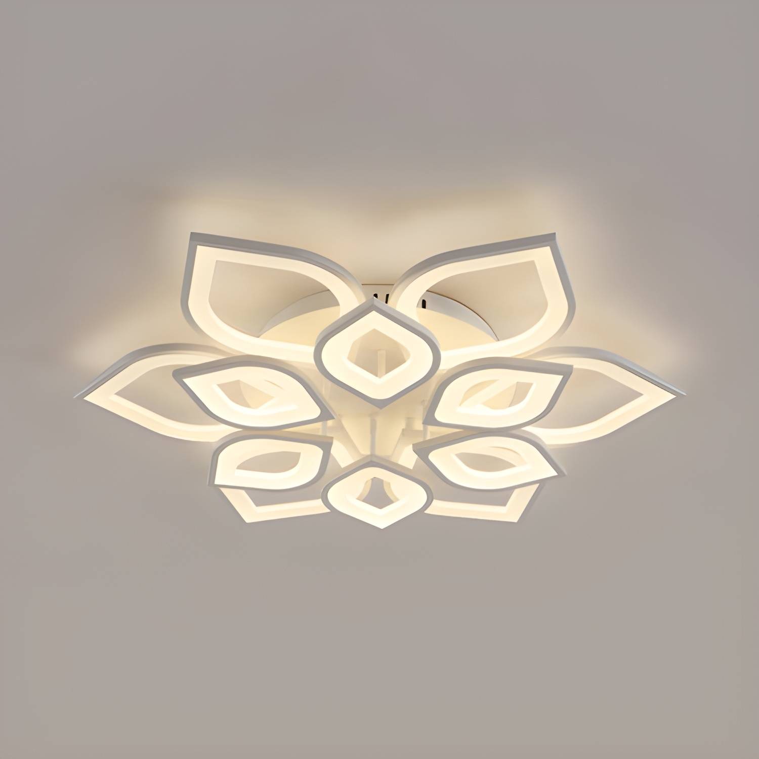 Imported image bb71f0245ed2 106424.jpg