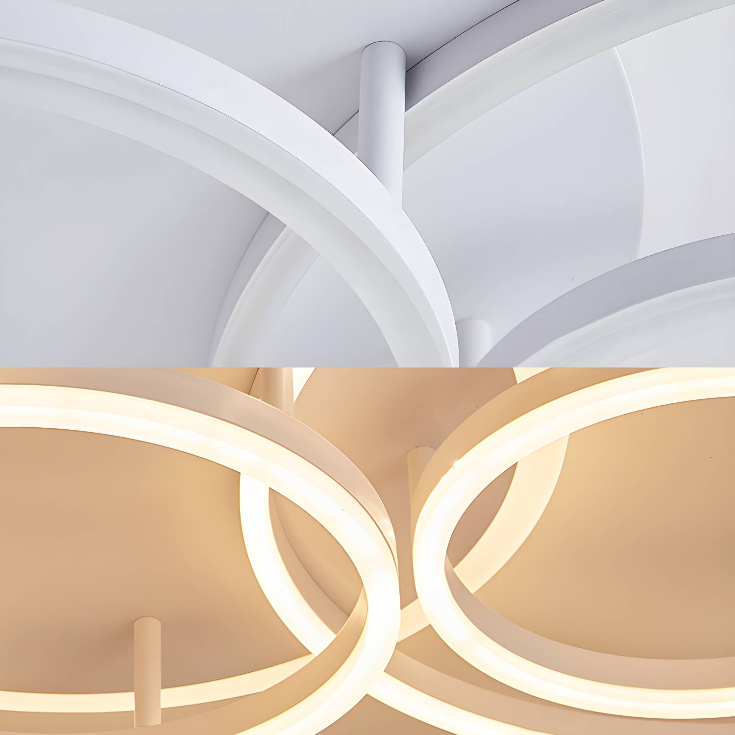 Imported image e889784550b3 106492.jpg