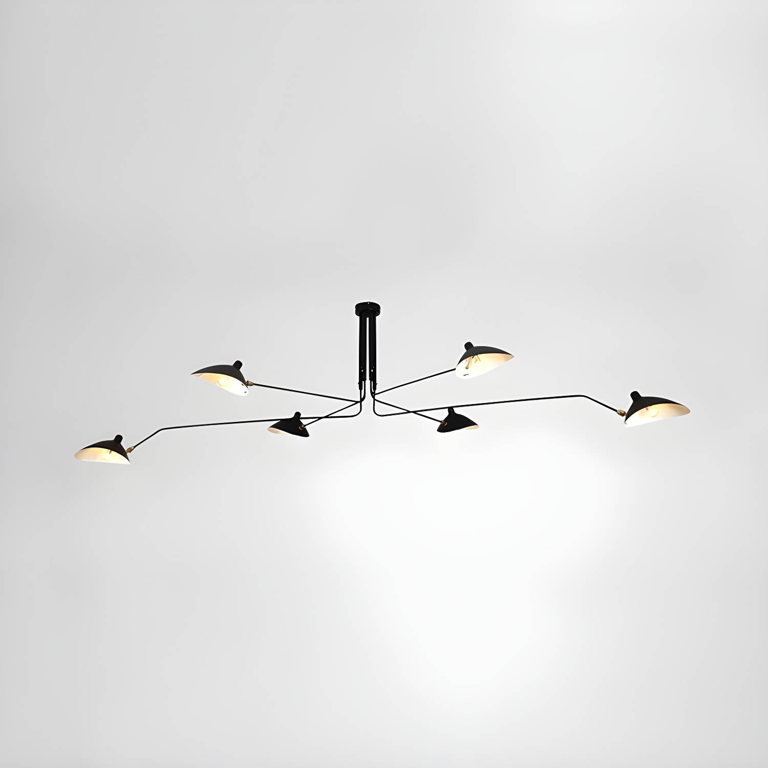 Imported image f12e761533ab 113964.jpg