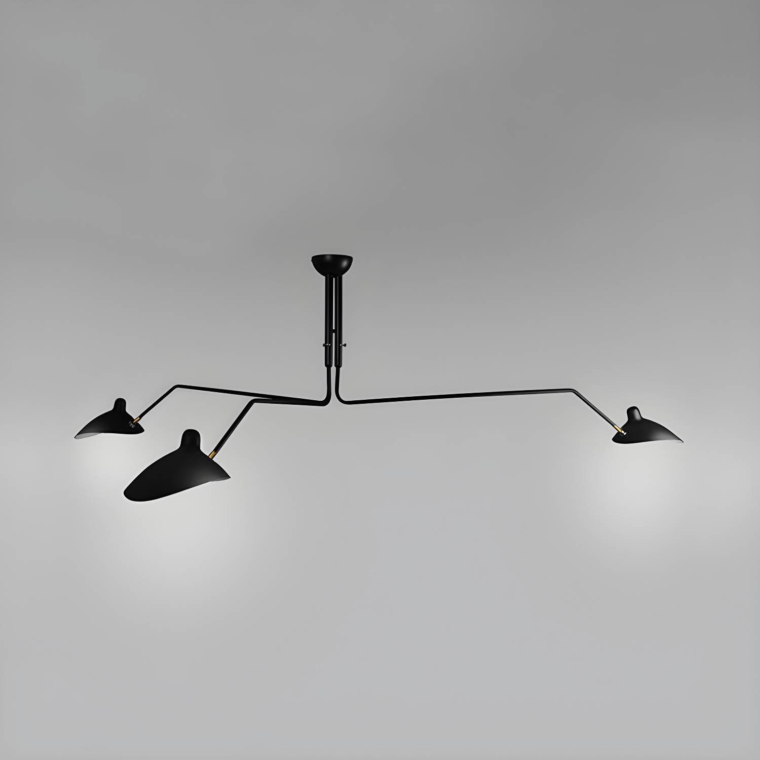 Imported image f2099c9107ce 113969.jpg