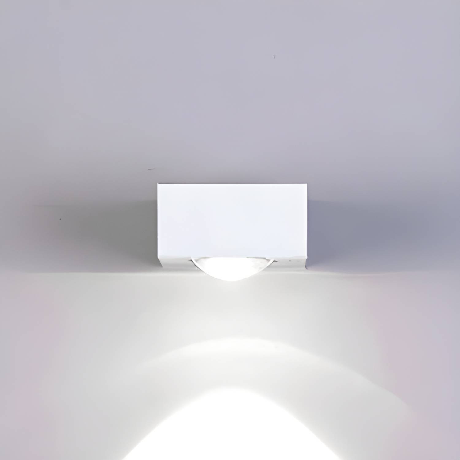 Imported image d69ec83d9cd4 130979.jpg