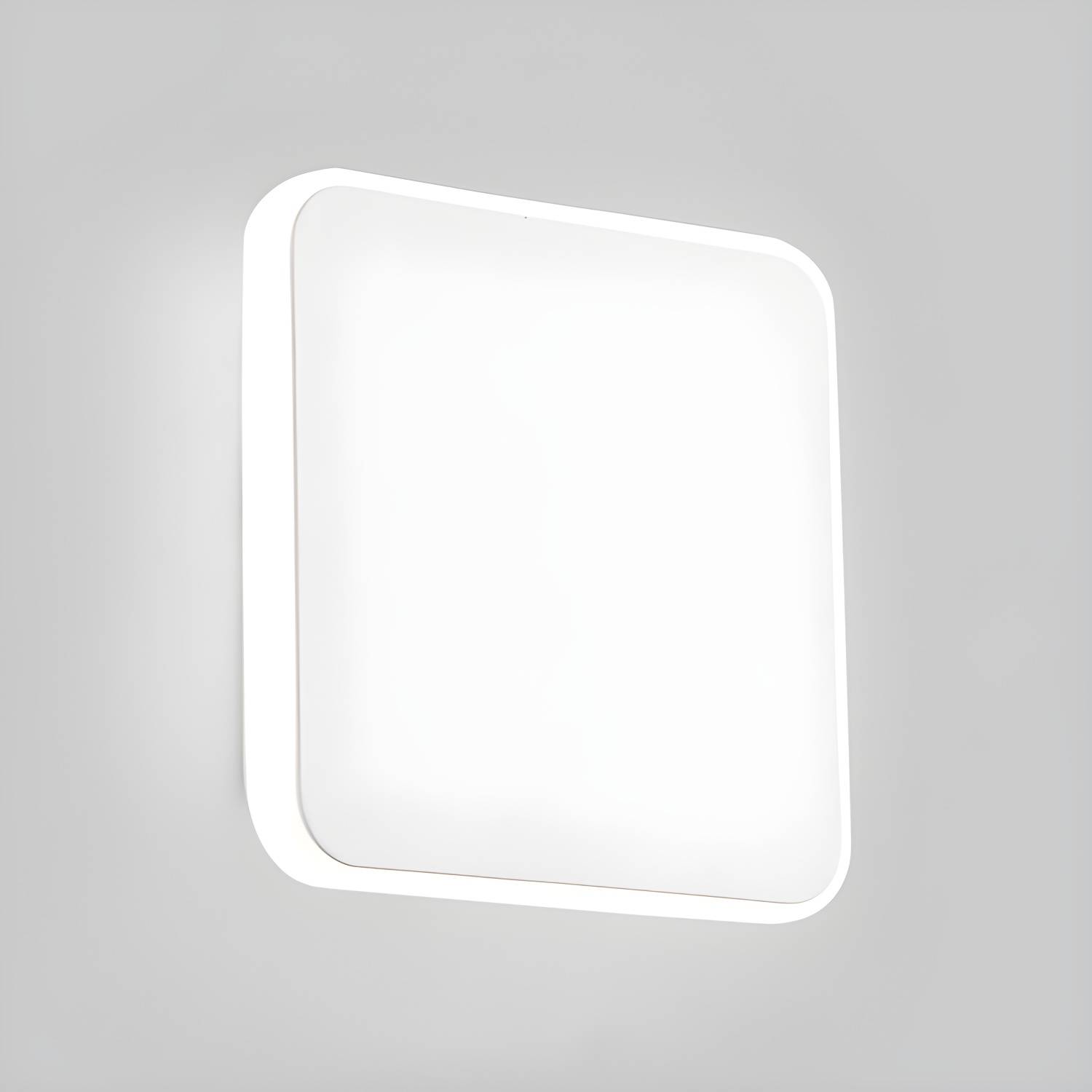 Imported image e2b3888a0b39 131497.jpg