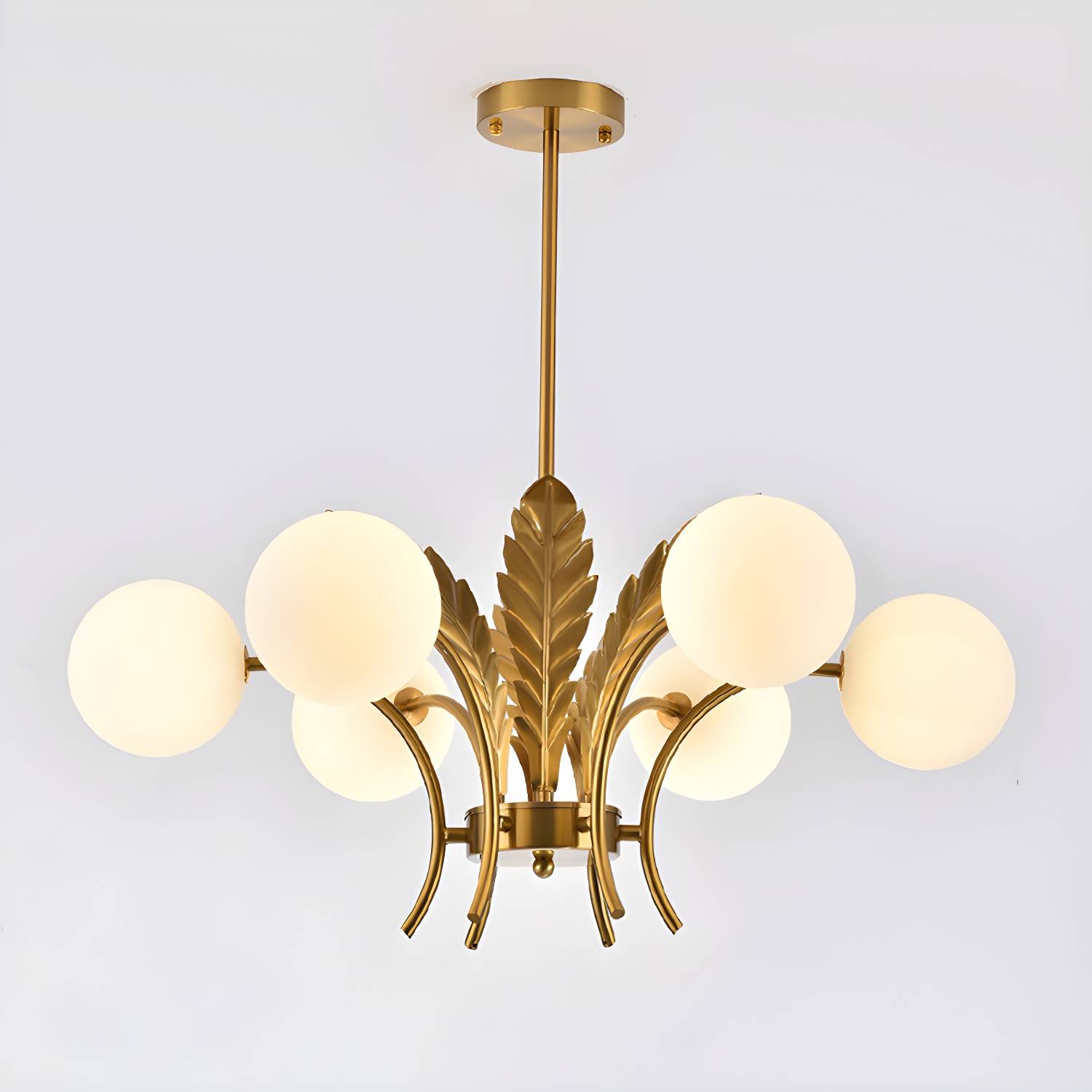 Imported image e6a6ad4bd815 1398950.jpg