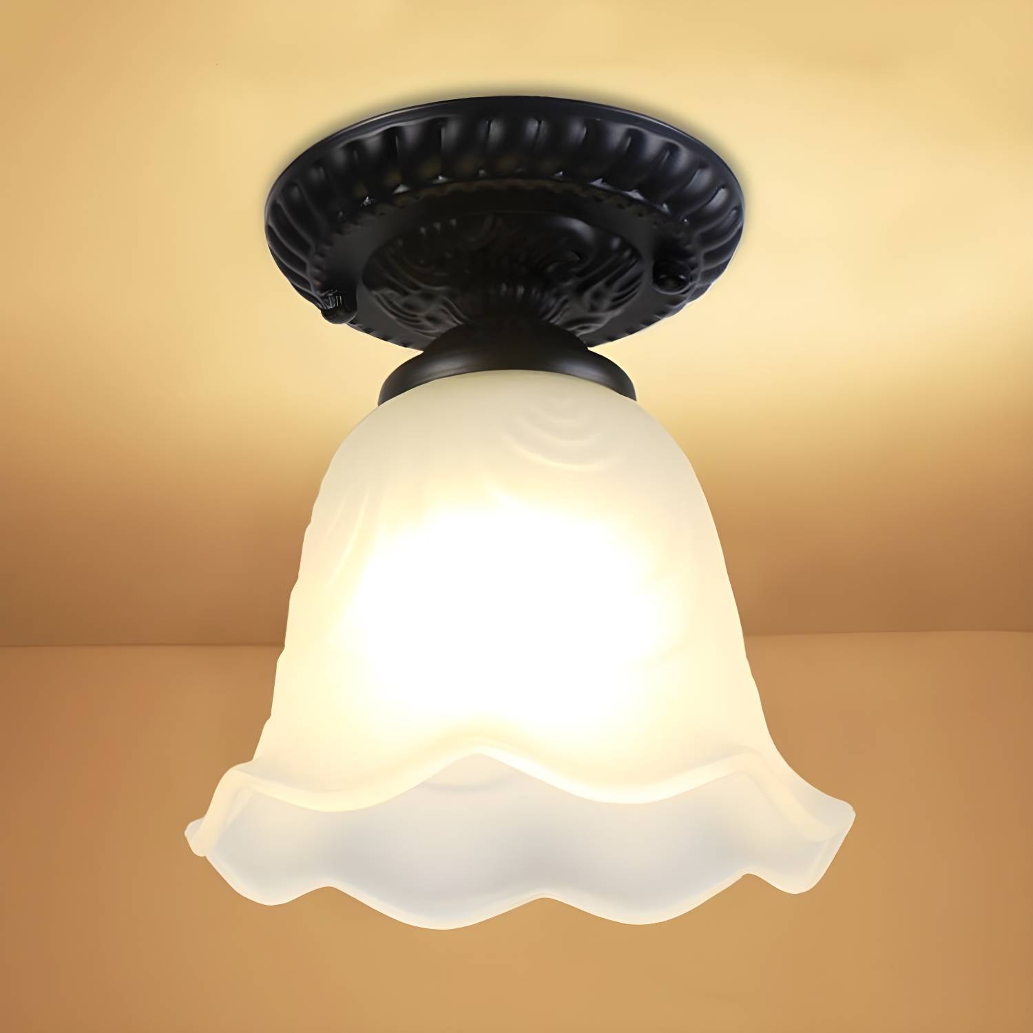 Imported image e7933ea74cc8 1419796.jpg
