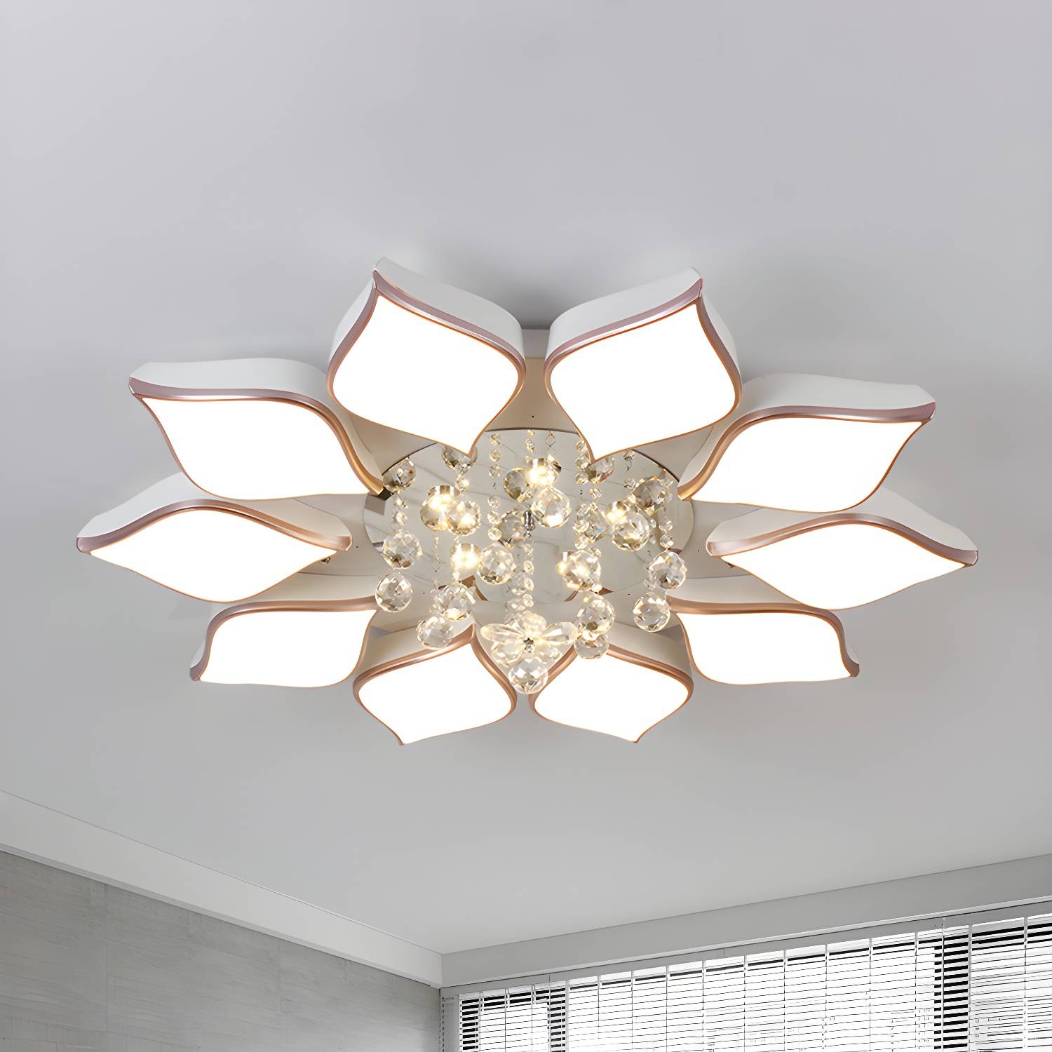 Imported image 211f8ce3842c 1434908.jpg