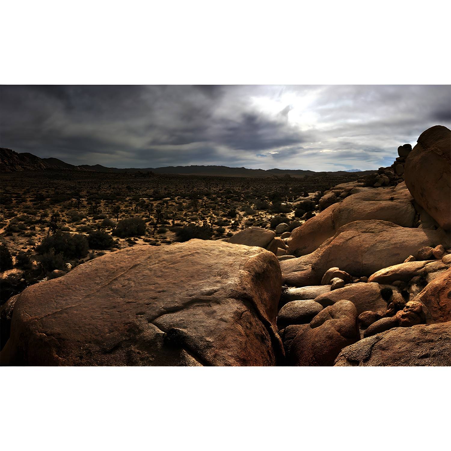 Imported image 4d687d851be3 1501922.jpg