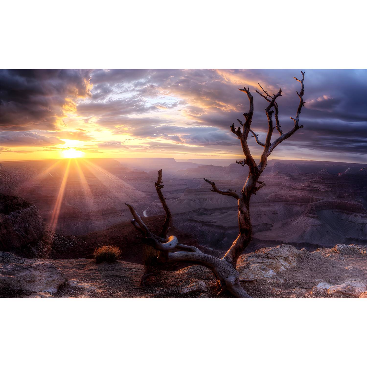 Imported image e0e7db9a7087 1505256.jpg