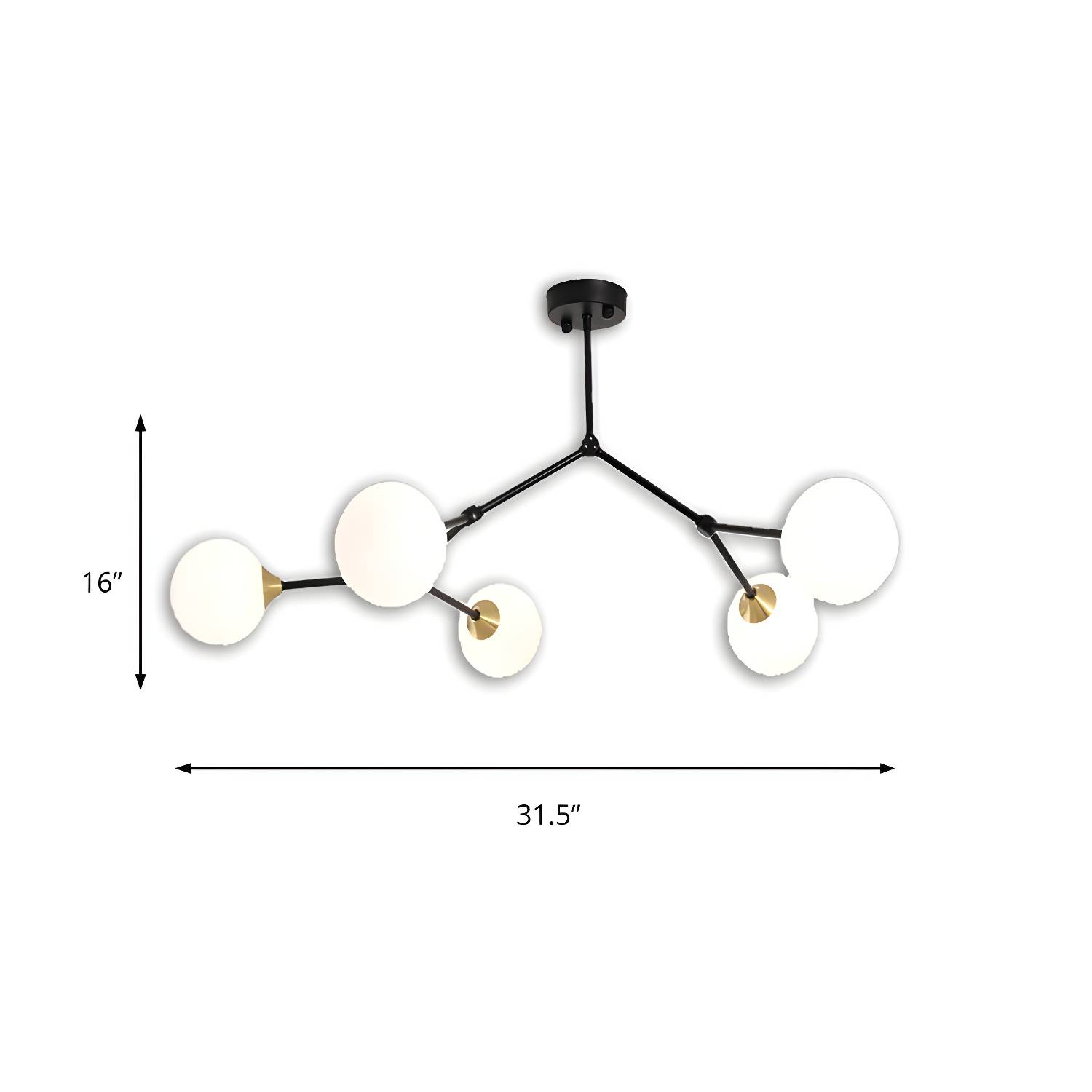 Imported image 7c7bbc811f0f 155287.jpg