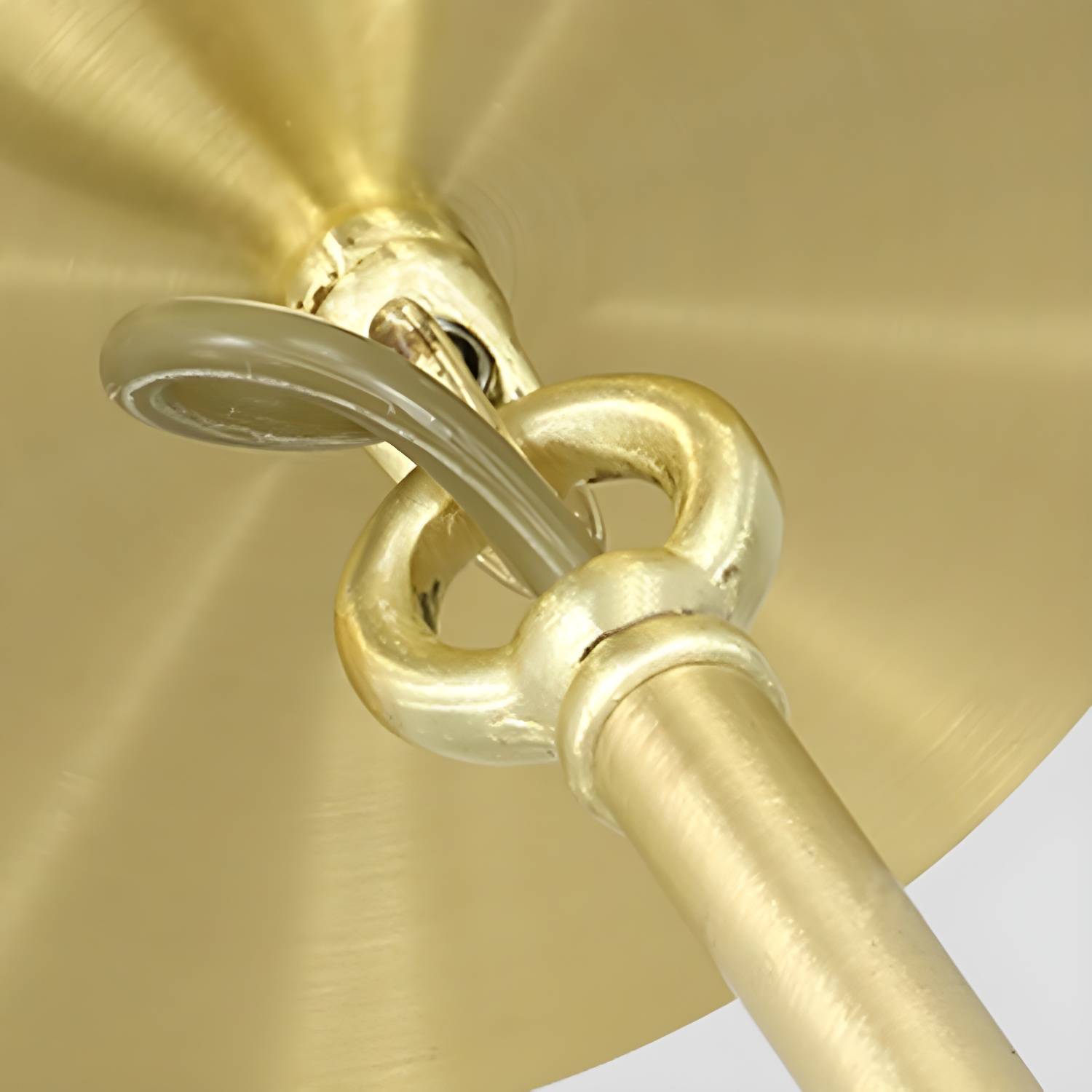 Imported image f72e23933551 157419.jpg
