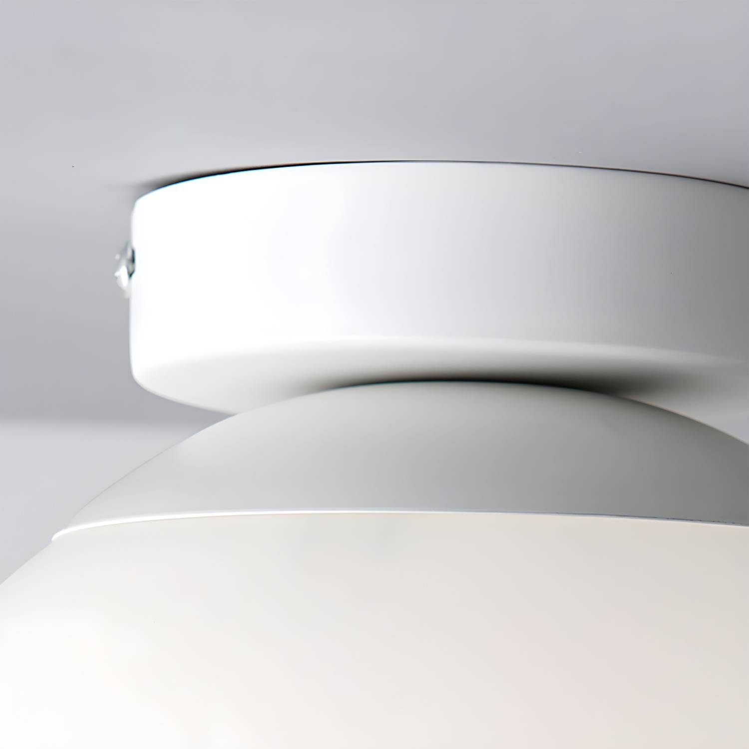Imported image 6e2f99da10d6 157687.jpg