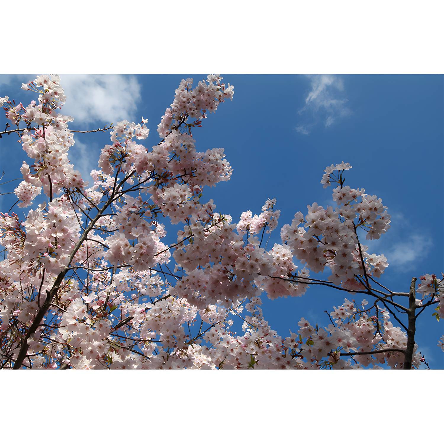 Imported image 3821f26cc84a 1594998.jpg