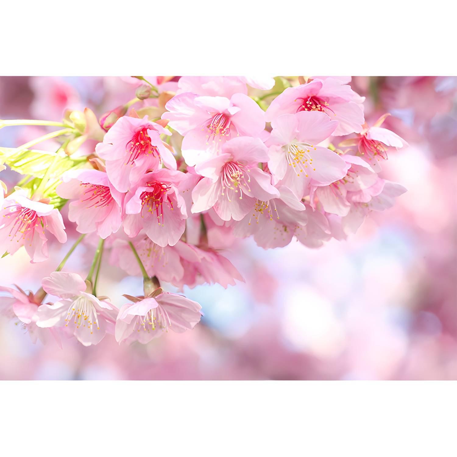 Imported image 8fd2b81b5c3e 1595228.jpg