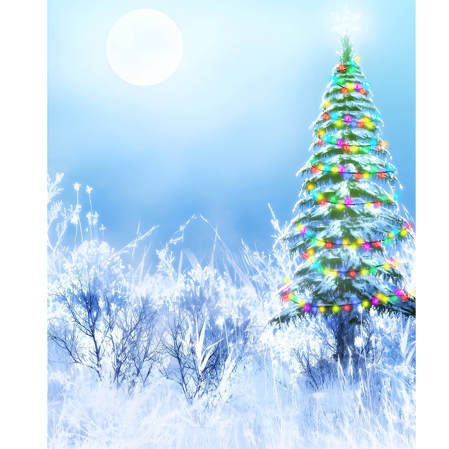 Imported image b2dc45d7360c 1595398.jpg