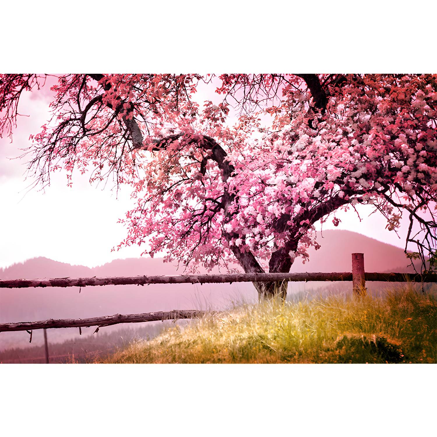 Imported image f4369a84da4d 1595418.jpg