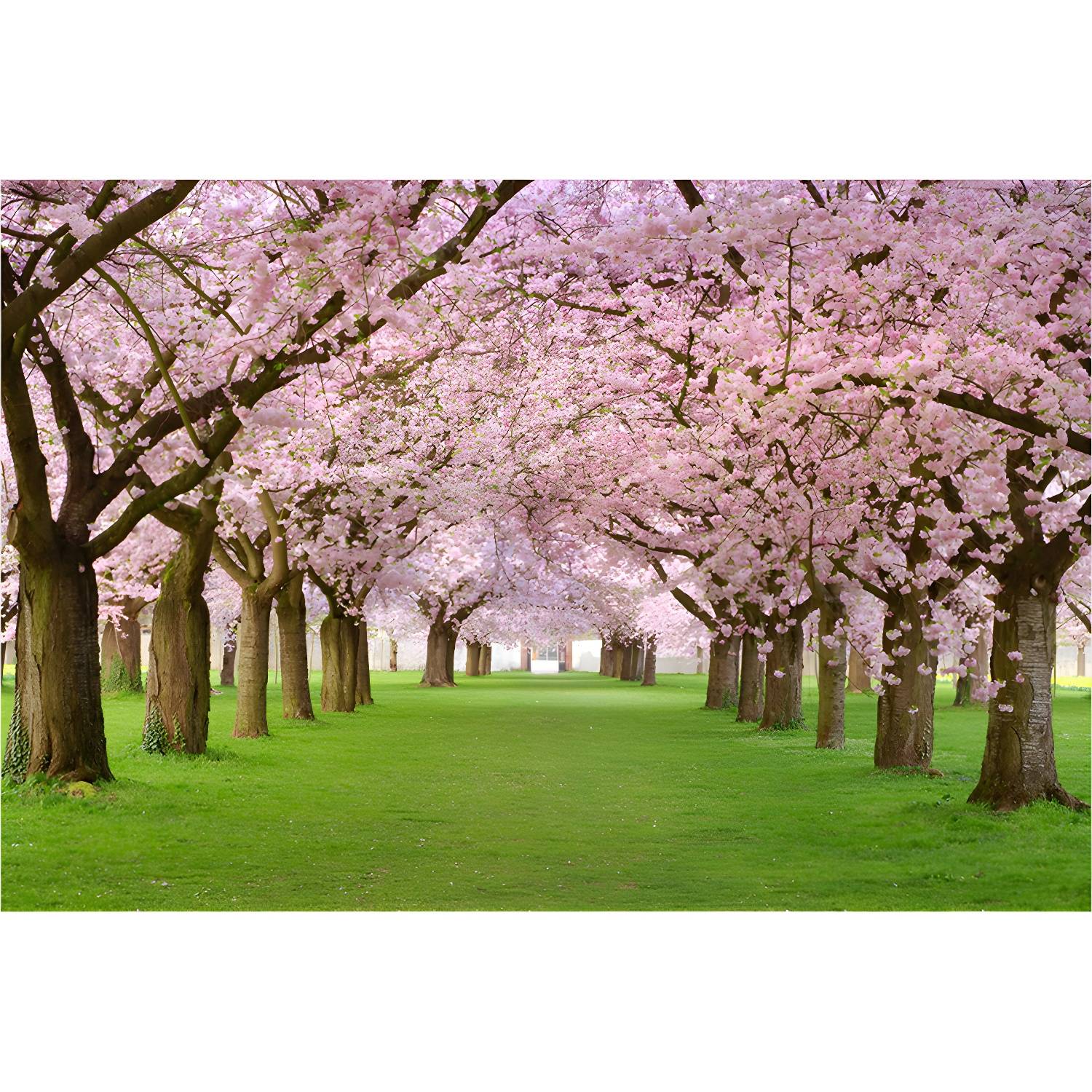 Imported image c8e36680356b 1595423.jpg