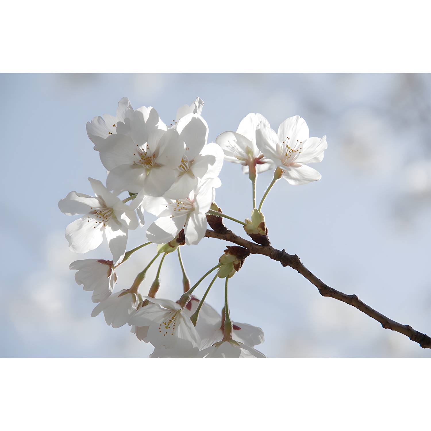 Imported image fe65b5bc7731 1595433.jpg