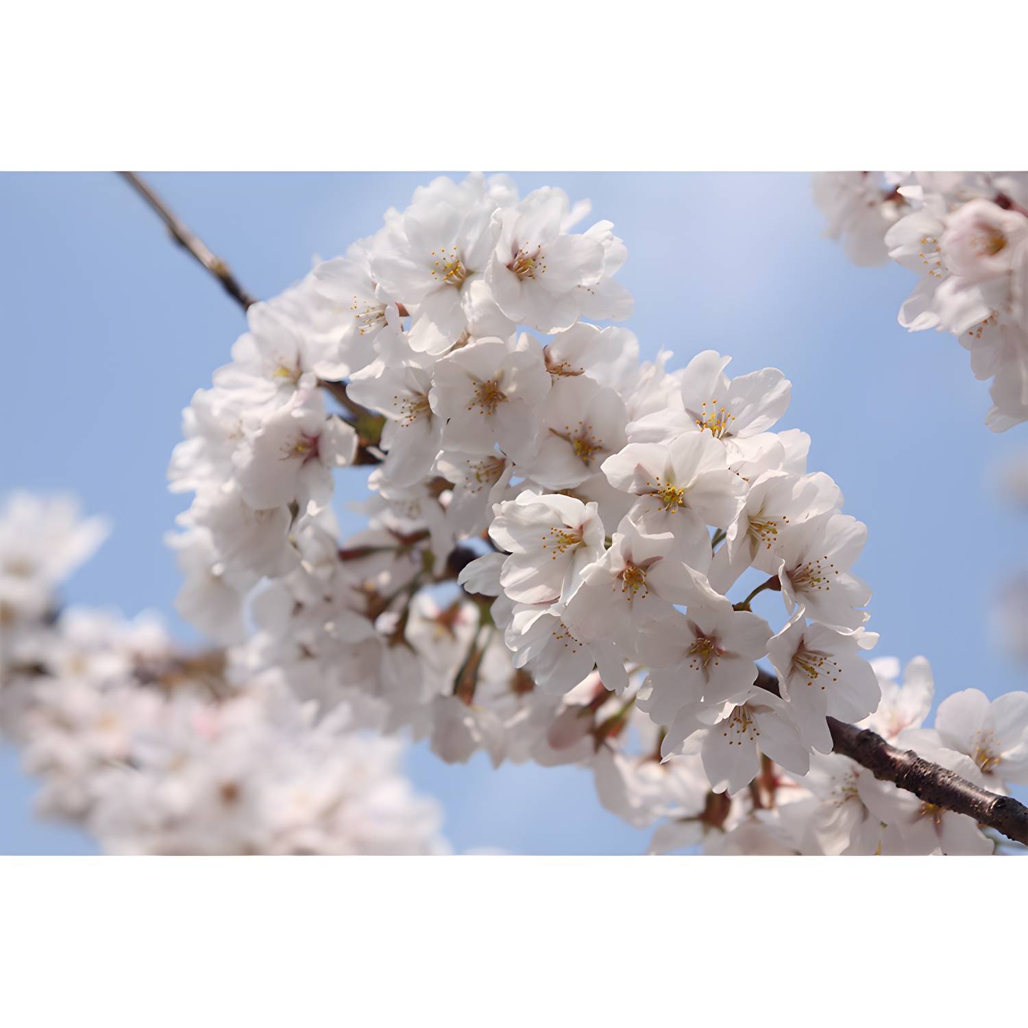 Imported image d2ed5cc5d604 1595443.jpg