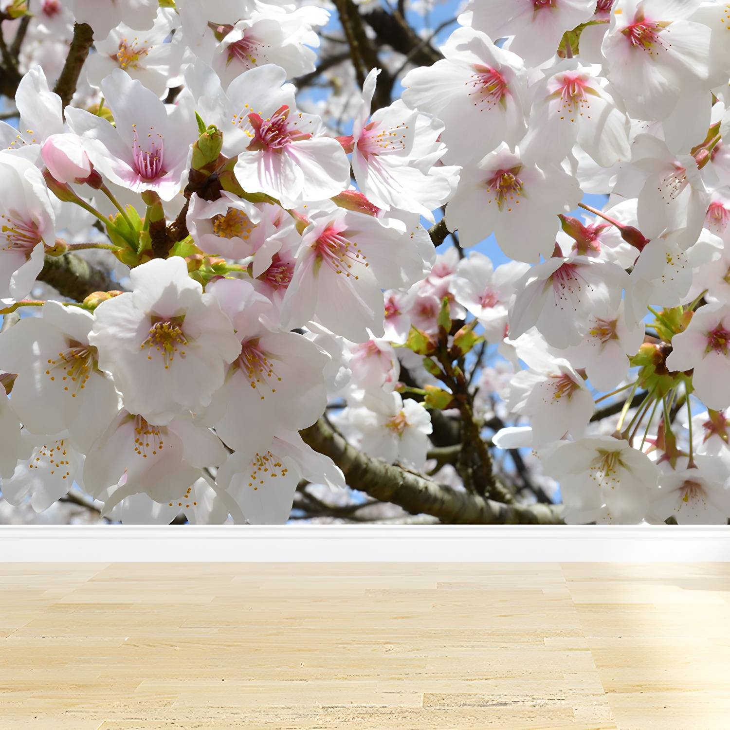 Imported image c4d650e7c3b8 1595446.jpg