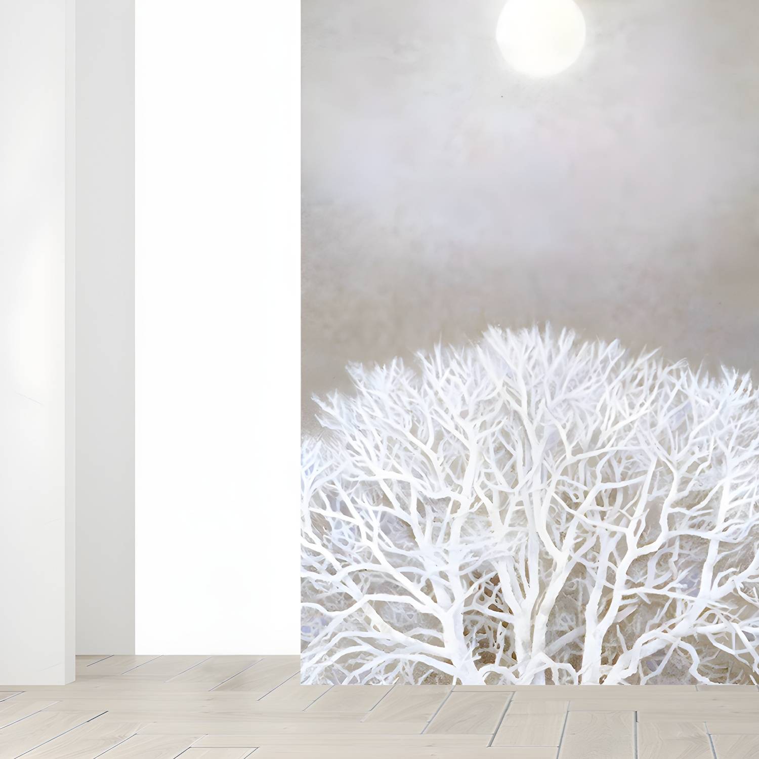 Imported image e064f55be95e 1595517.jpg