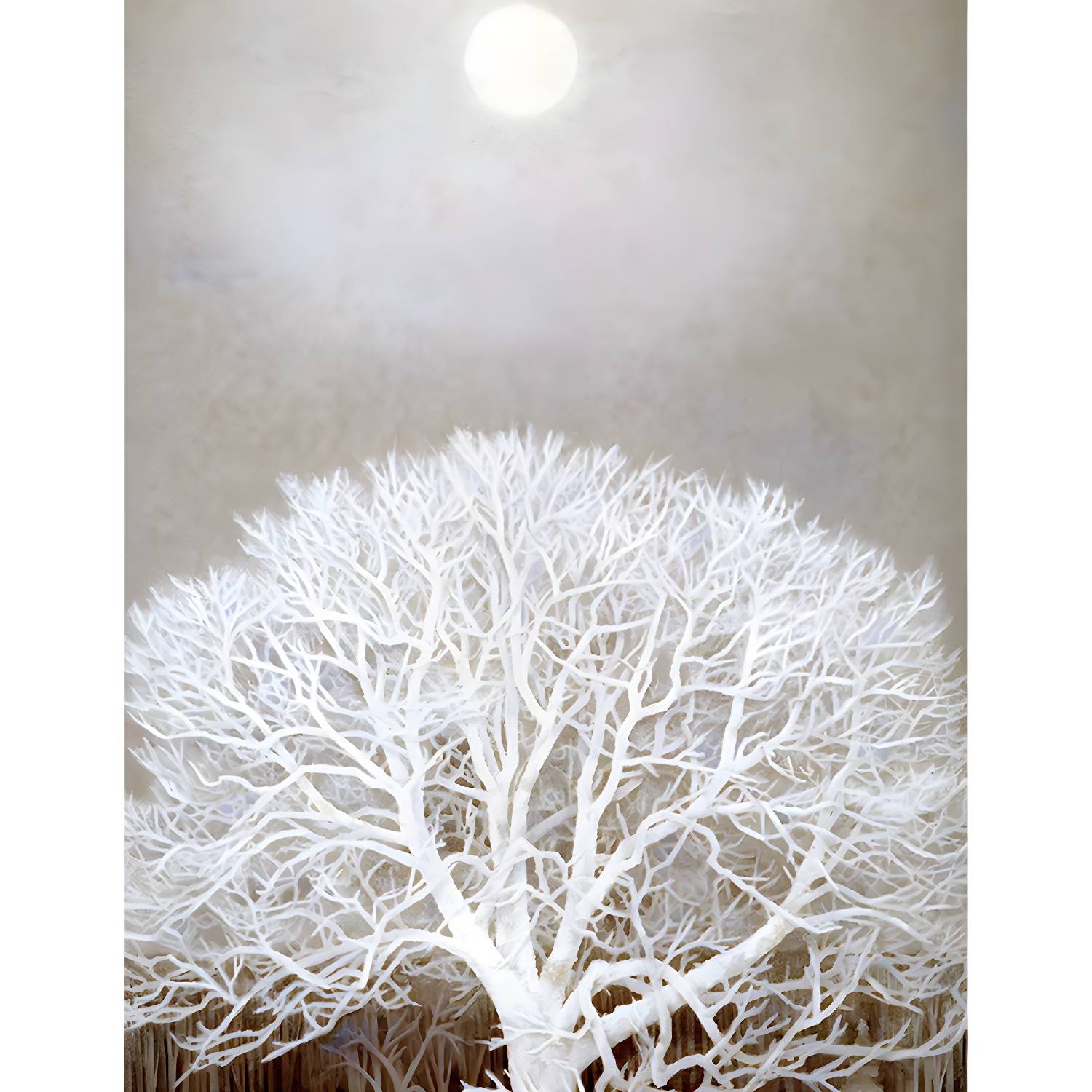 Imported image 3711091b64fc 1595518.jpg