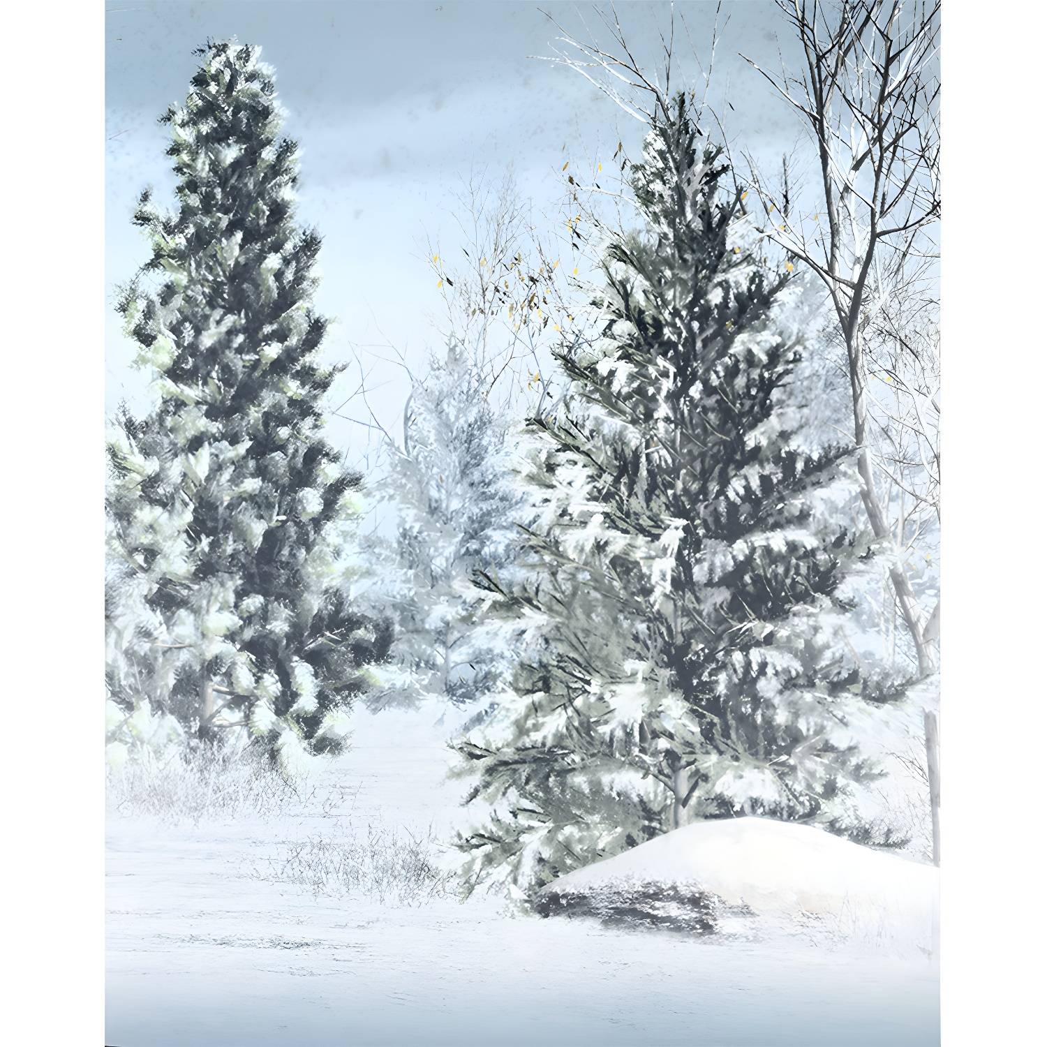 Imported image 6bc06489e0b0 1595578.jpg