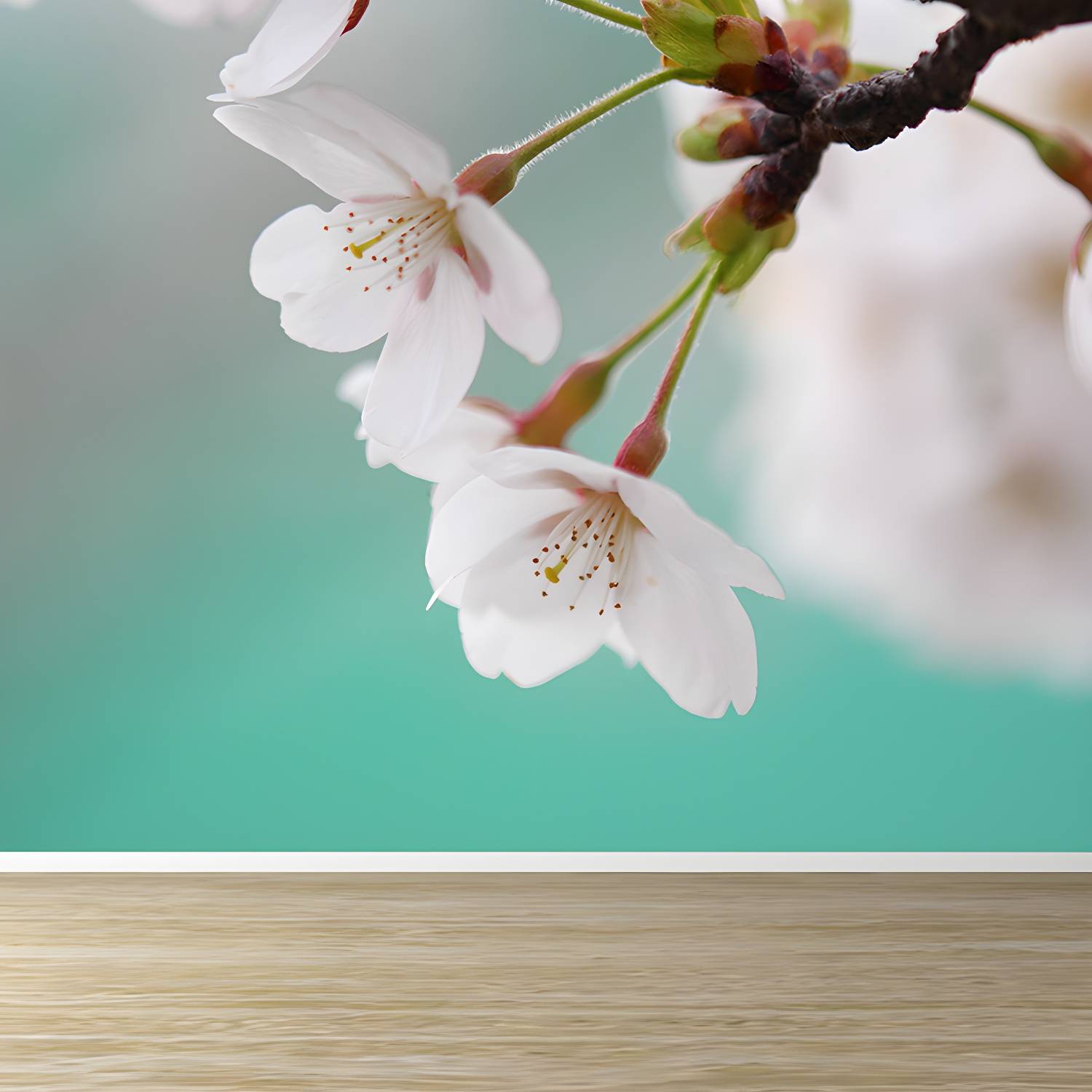 Imported image c9deed700702 1595687.jpg