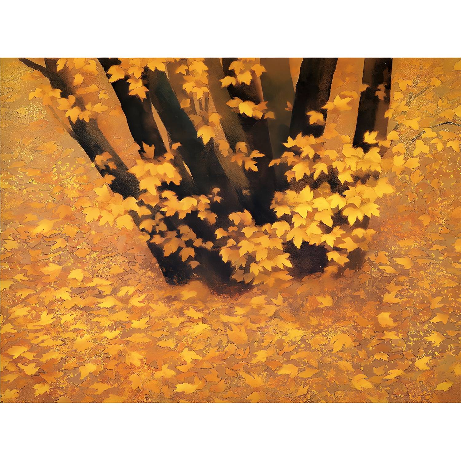 Imported image 5937cd328a01 1595728.jpg