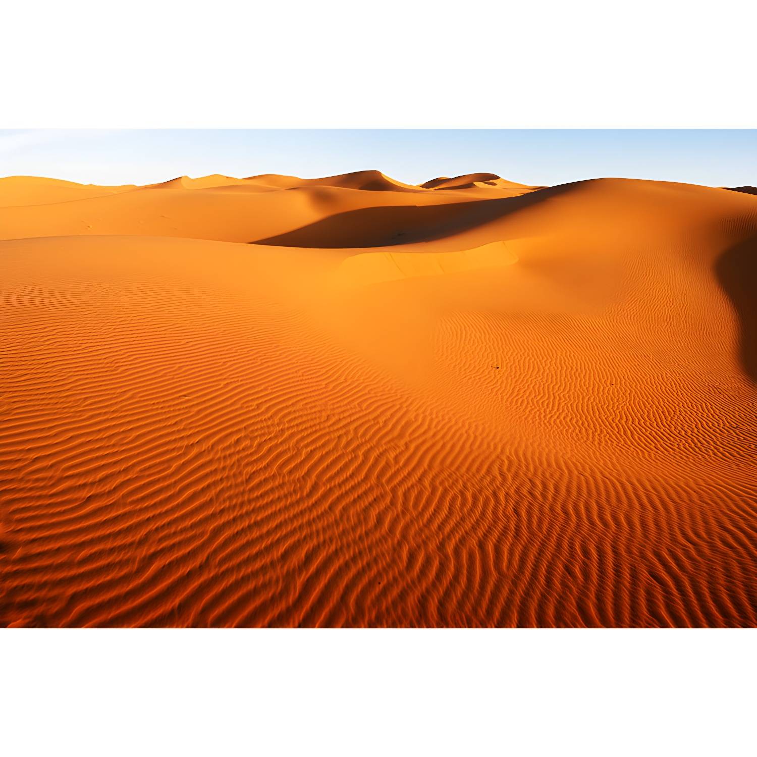 Imported image d8fabdc38489 1596427.jpg