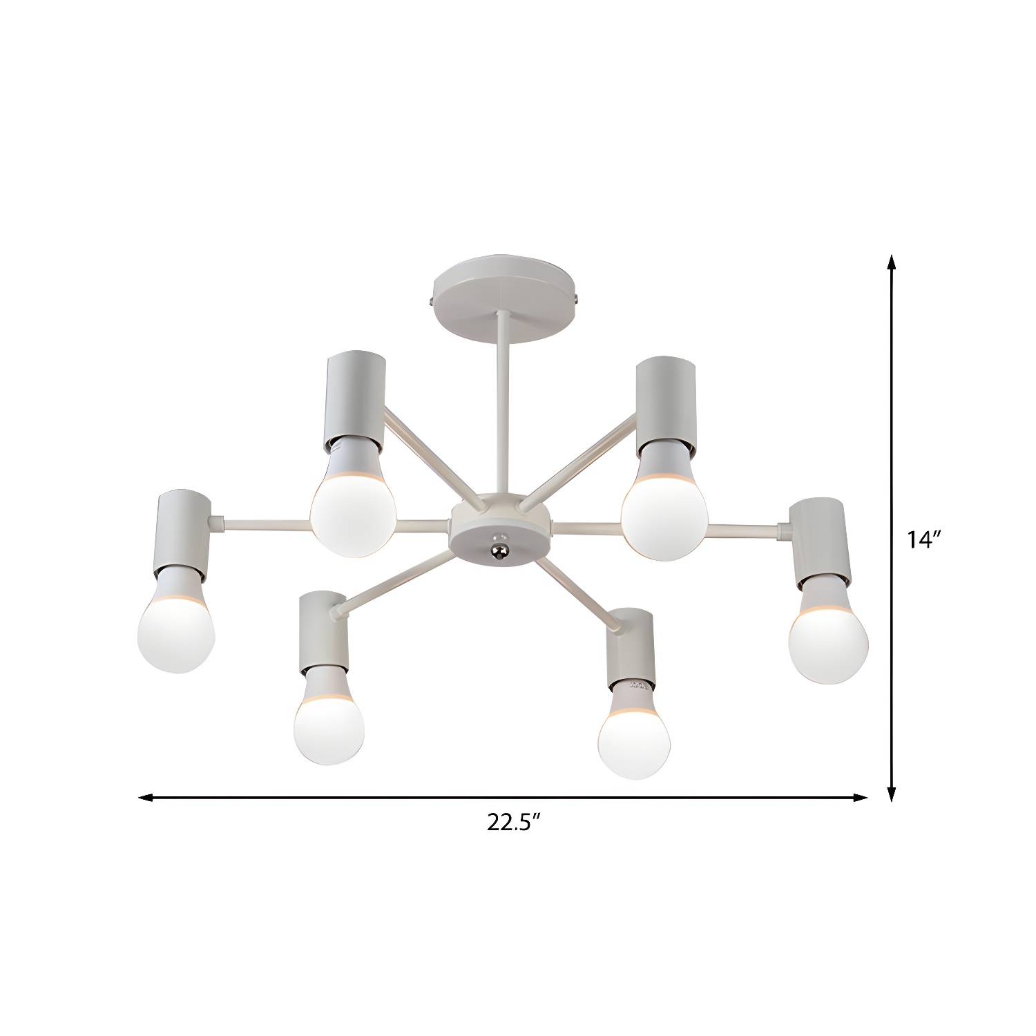 Imported image 7bf62450e7c9 161822.jpg