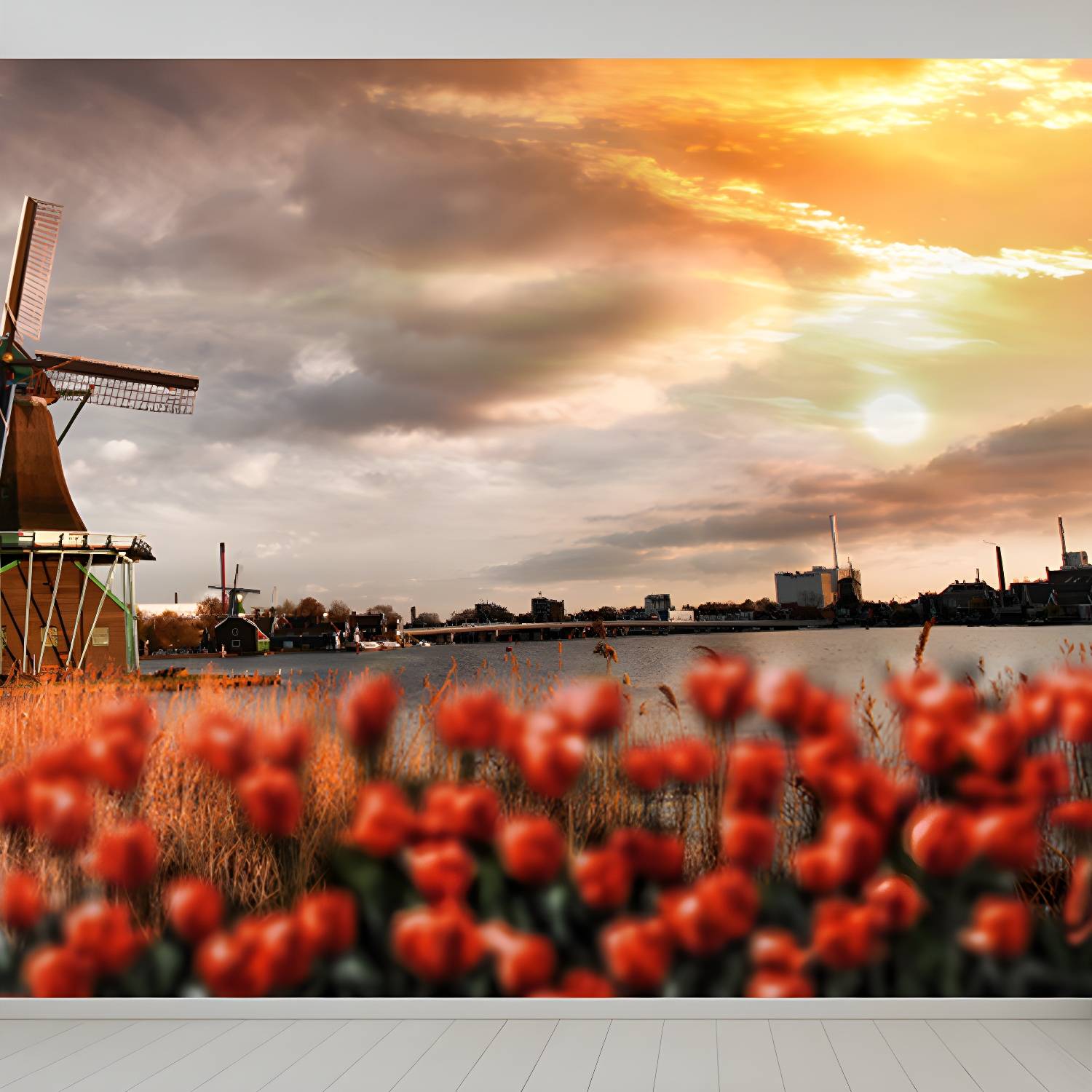 Imported image 83e6ea02d528 1627415.jpg