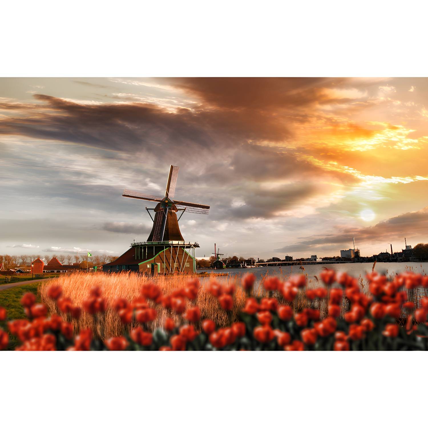 Imported image ae502602477a 1627416.jpg