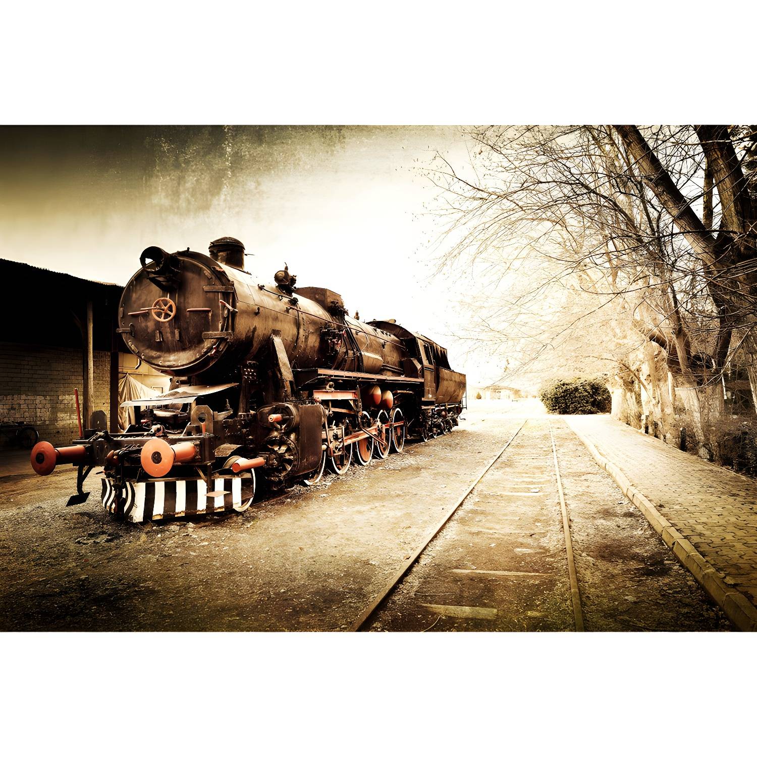 Imported image 7f01a72da22d 1637676.jpg