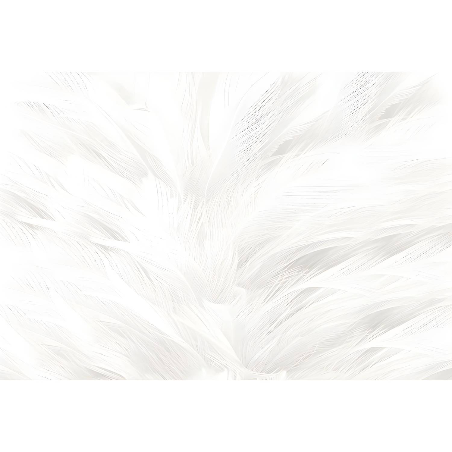 Imported image b741ed804d9f 1638081.jpg