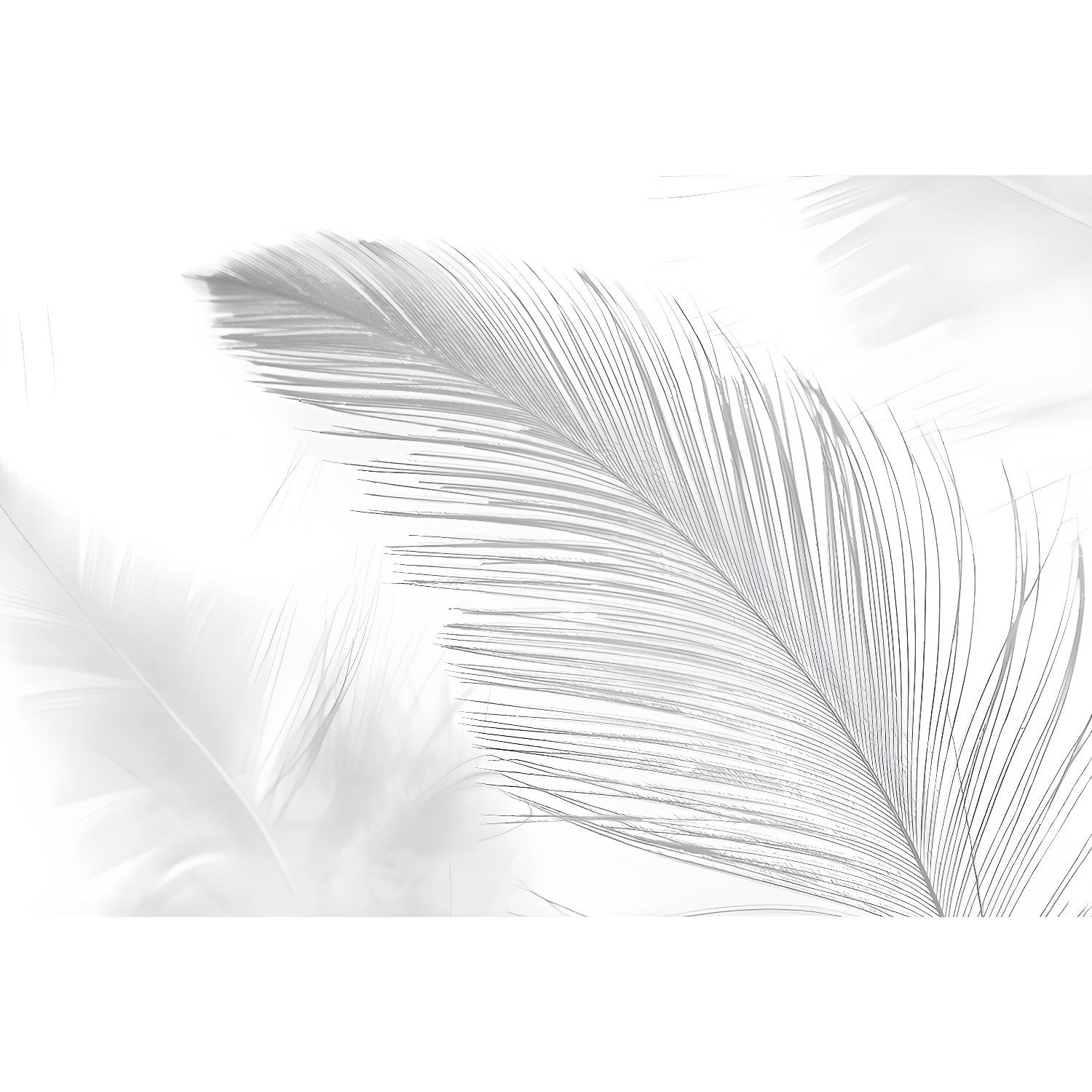 Imported image fe64d8d90618 1638096.jpg