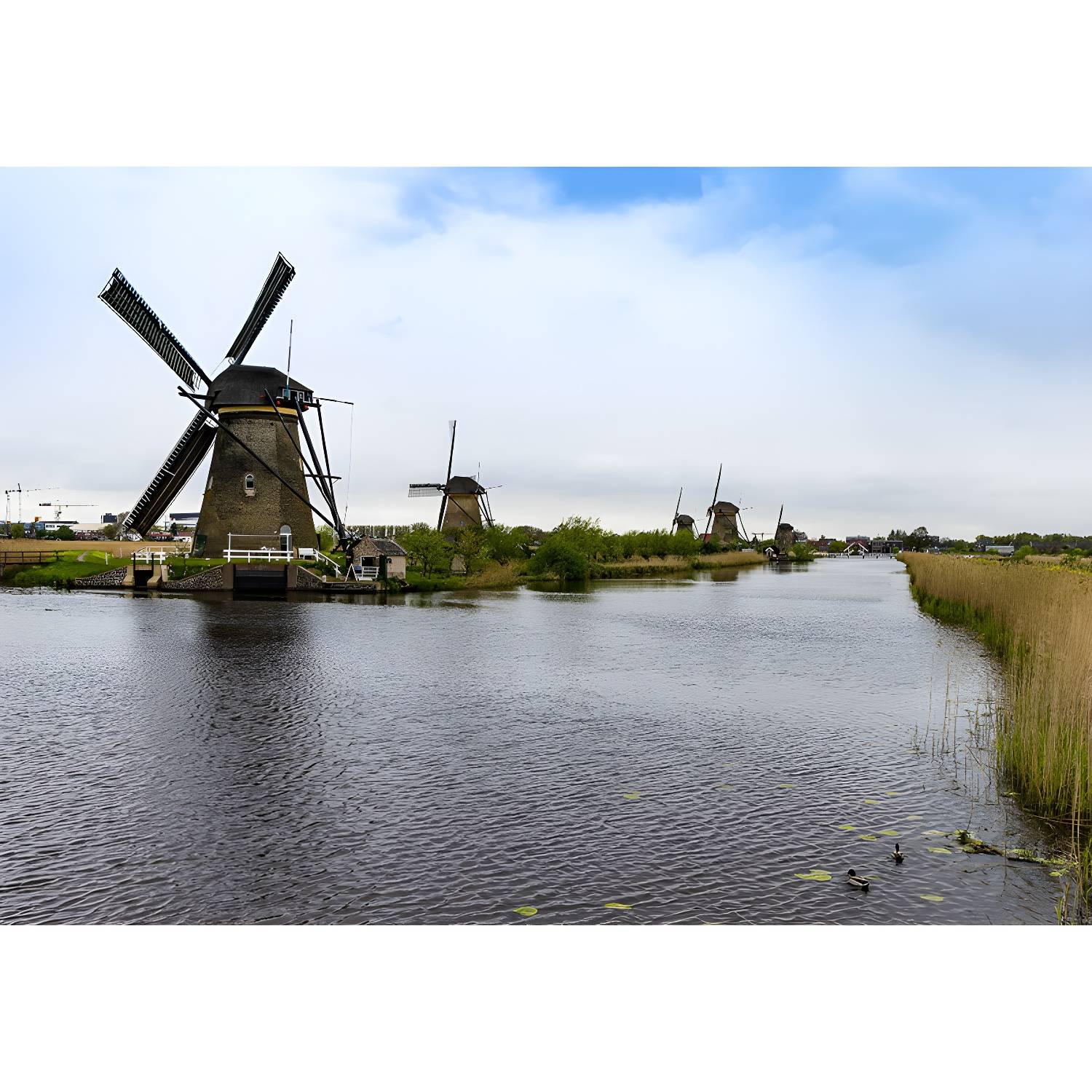 Imported image 421c86faa460 1646258.jpg